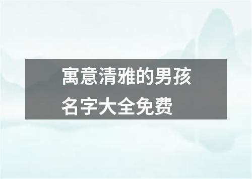 寓意清雅的男孩名字大全免费