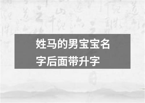 姓马的男宝宝名字后面带升字