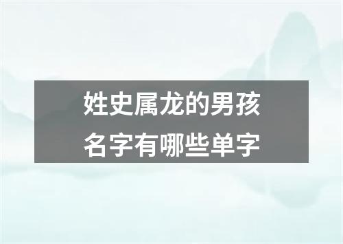 姓史属龙的男孩名字有哪些单字