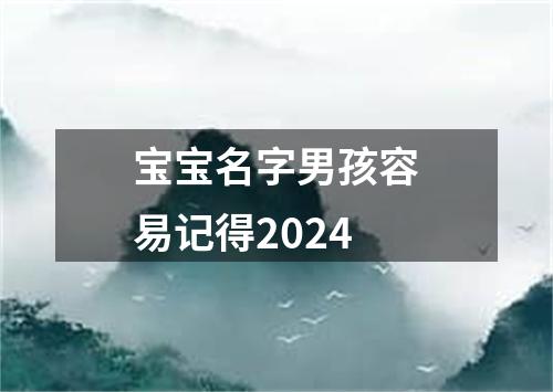 宝宝名字男孩容易记得2024