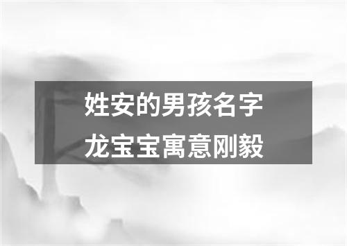 姓安的男孩名字龙宝宝寓意刚毅