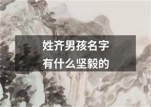 姓齐男孩名字有什么坚毅的