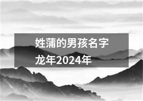 姓蒲的男孩名字龙年2024年