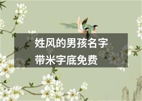 姓风的男孩名字带米字底免费