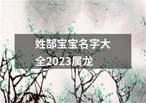 姓郜宝宝名字大全2023属龙