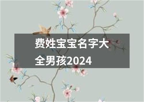 费姓宝宝名字大全男孩2024