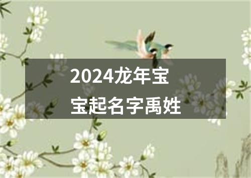 2024龙年宝宝起名字禹姓