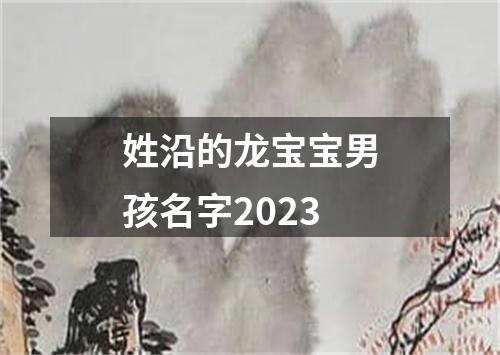 姓沿的龙宝宝男孩名字2023