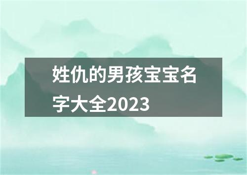 姓仇的男孩宝宝名字大全2023