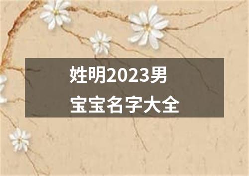 姓明2023男宝宝名字大全