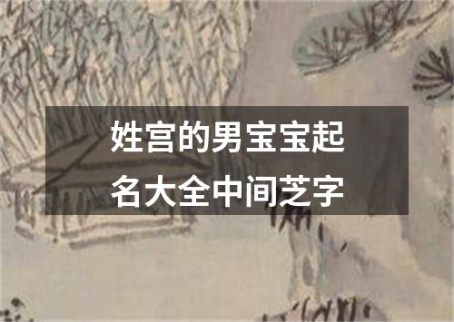 姓宫的男宝宝起名大全中间芝字