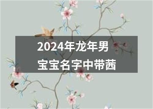 2024年龙年男宝宝名字中带茜