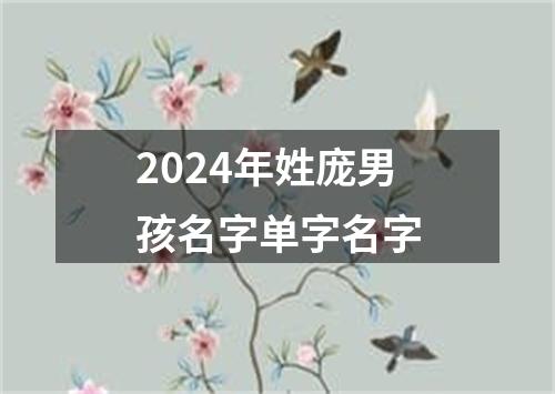 2024年姓庞男孩名字单字名字