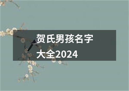 贺氏男孩名字大全2024