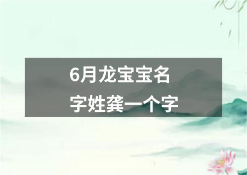 6月龙宝宝名字姓龚一个字