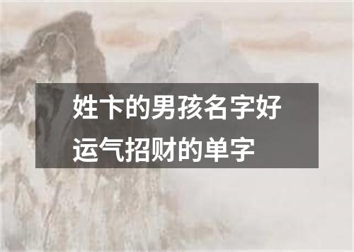 姓卞的男孩名字好运气招财的单字