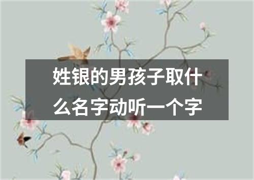 姓银的男孩子取什么名字动听一个字