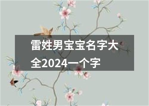 雷姓男宝宝名字大全2024一个字