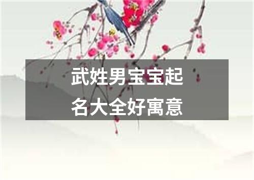 武姓男宝宝起名大全好寓意