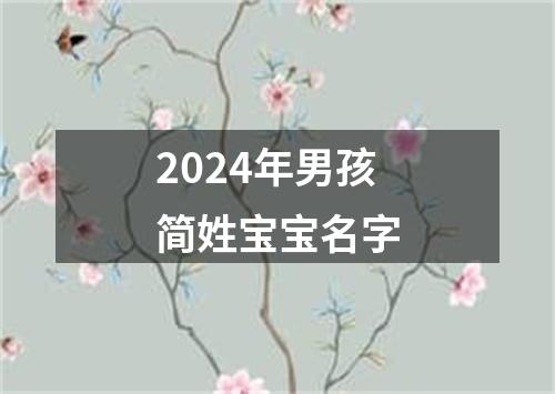 2024年男孩简姓宝宝名字