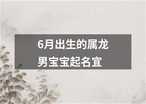 6月出生的属龙男宝宝起名宜