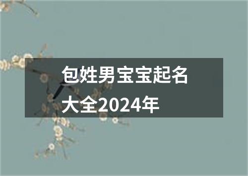 包姓男宝宝起名大全2024年