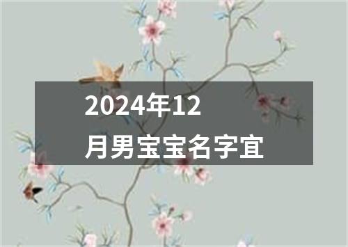 2024年12月男宝宝名字宜