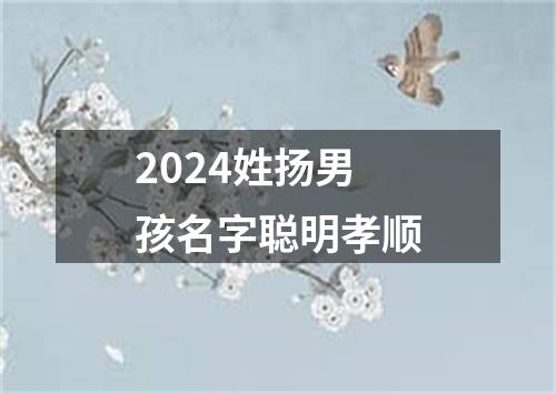 2024姓扬男孩名字聪明孝顺