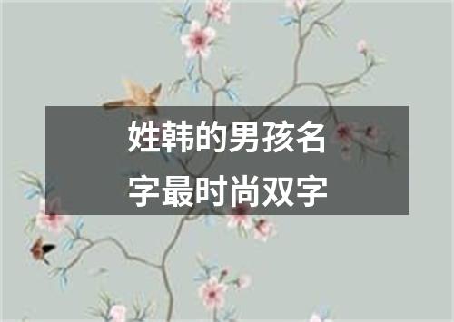 姓韩的男孩名字最时尚双字