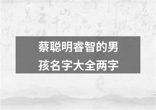 蔡聪明睿智的男孩名字大全两字