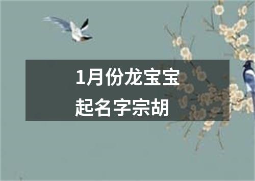 1月份龙宝宝起名字宗胡