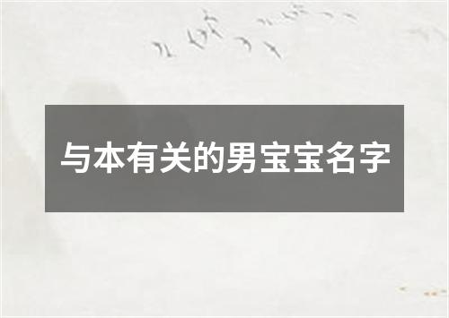 与本有关的男宝宝名字