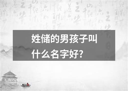 姓储的男孩子叫什么名字好?