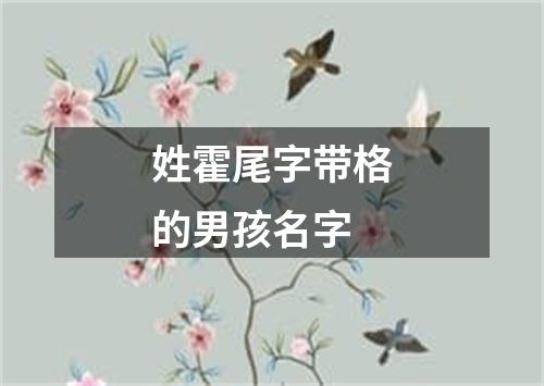 姓霍尾字带格的男孩名字