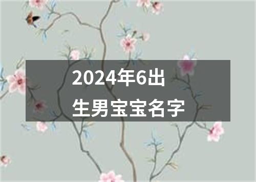 2024年6出生男宝宝名字