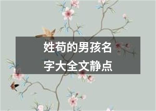 姓苟的男孩名字大全文静点