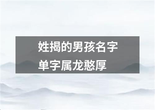 姓揭的男孩名字单字属龙憨厚