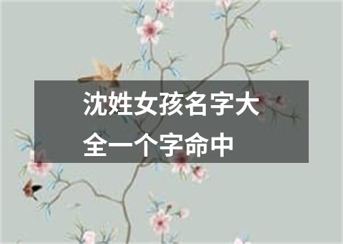 沈姓女孩名字大全一个字命中