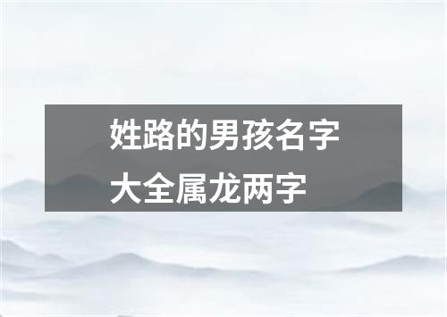 姓路的男孩名字大全属龙两字