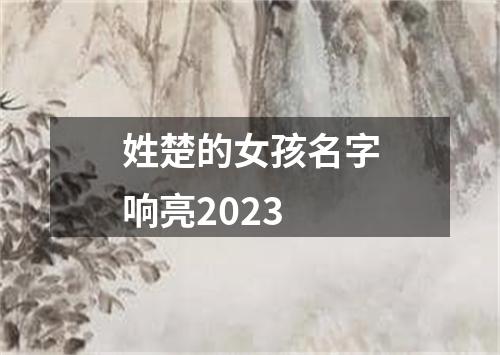 姓楚的女孩名字响亮2023