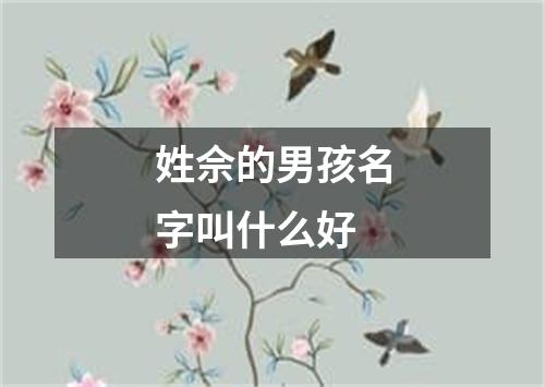 姓佘的男孩名字叫什么好