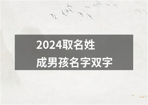 2024取名姓成男孩名字双字