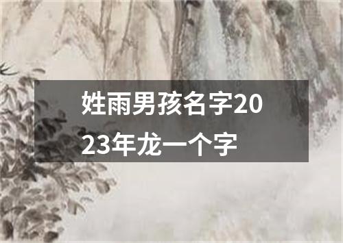 姓雨男孩名字2023年龙一个字