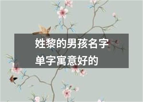 姓黎的男孩名字单字寓意好的