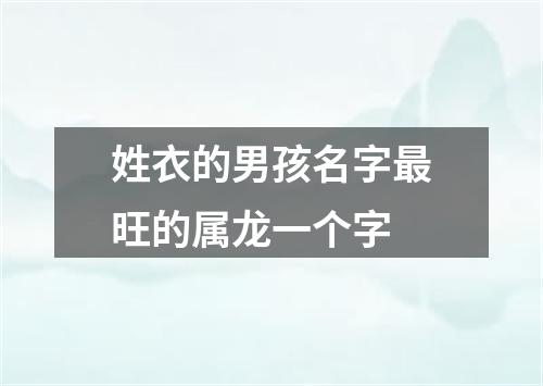 姓衣的男孩名字最旺的属龙一个字