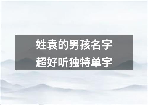 姓袁的男孩名字超好听独特单字