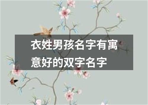 衣姓男孩名字有寓意好的双字名字