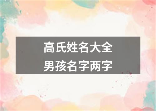 高氏姓名大全男孩名字两字