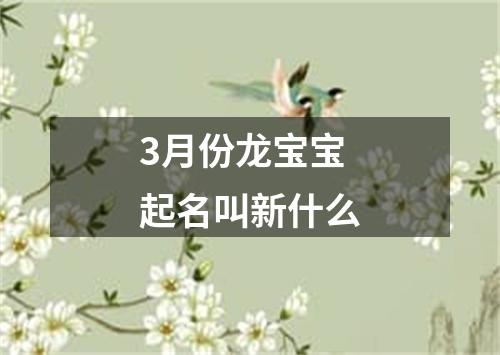 3月份龙宝宝起名叫新什么