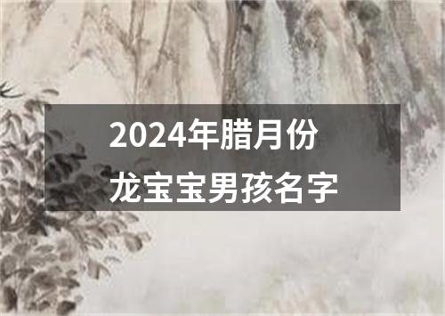 2024年腊月份龙宝宝男孩名字